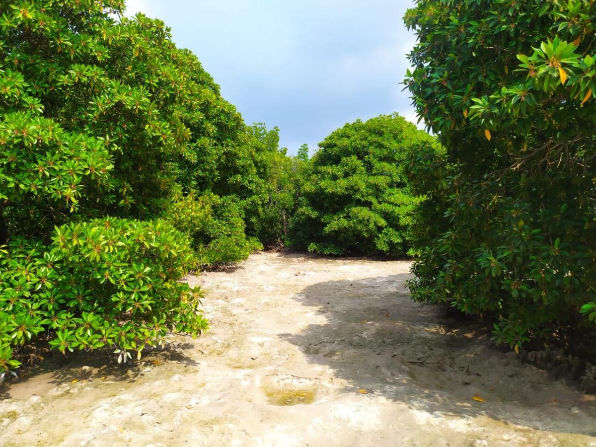 Courtyard Guesthouse Huraa Exterior foto
