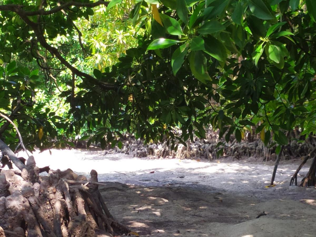 Courtyard Guesthouse Huraa Exterior foto